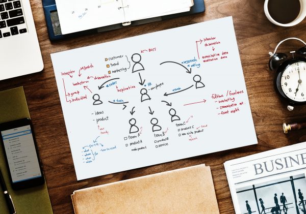 BLP Charlie Weidman | Content Management