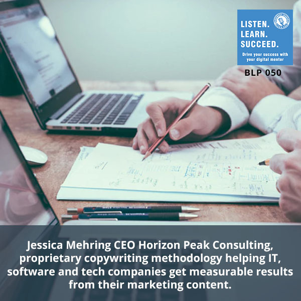 BLP Mehring | Horizon Peak Consulting