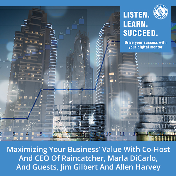 BLP Marla | Maximizing Business Value